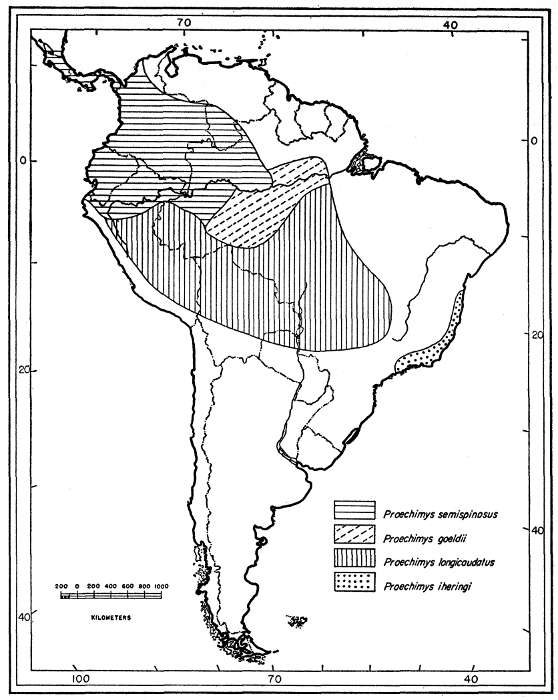 Fig. 24.