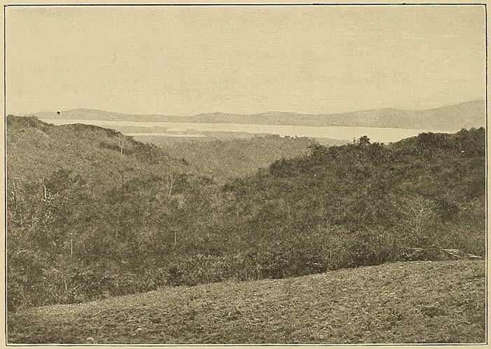 In the Batangas Province.