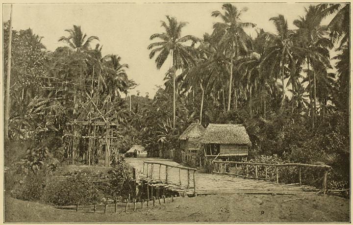 A Bamboo-bridge in Albay.