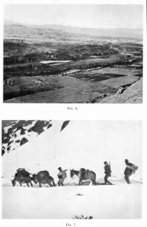 Fig. 6—Irrigated Chili Valley on the outskirts of Arequipa. The lower slopes of El Misti are in the left background. The Alto de los Huesos or Plateau of Bones lies on the farther side of the valley.