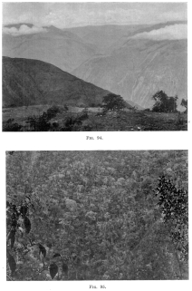 Fig. 94—Cloud belt at 11,000 feet in the Apurimac Canyon near Incahuasi. For a regional diagram and a climatic cross-section see Figs. 32 and 33.