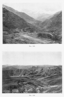 Fig. 129—Composition of slopes at Puquiura, Vilcabamba Valley, elevation 9,000 feet (2,740 m.). The second prominent spur entering the valley on the left has a flattish top unrelated to the rock structure. Like the spurs on the right its blunt end and flat top indicate an earlier erosion cycle at a lower elevation.