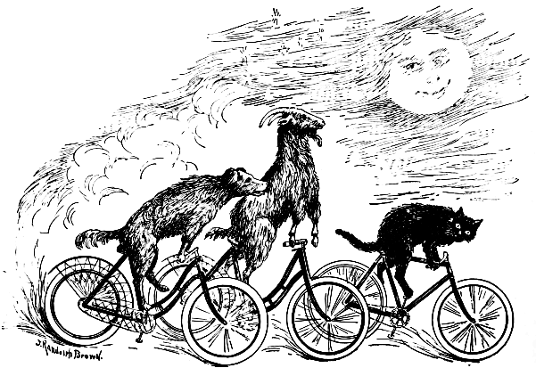Dog, cat and goat riding bicycles