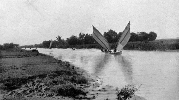 Fishing-praos, their diminutive hulls almost disappearing under the one tall whitish-brown sail, shaped like a bird's wing and flung back, as if ready for a swoop and rake.