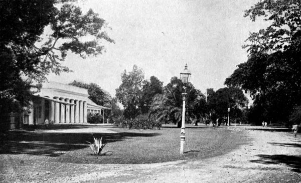 The idyllic Duke's park, very shadowy, fragrant, and green.