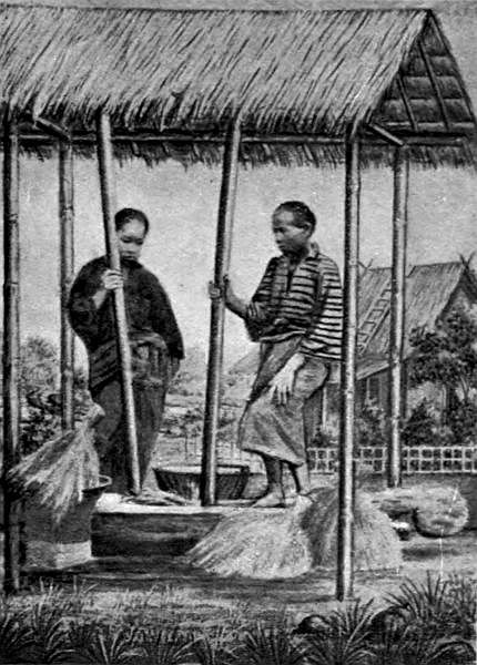 Women pounding rice.