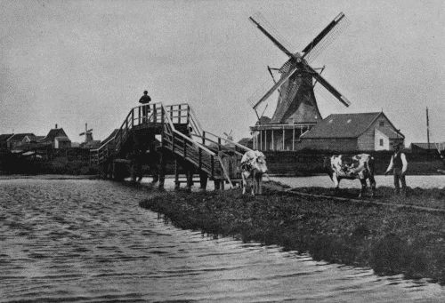 A TYPICAL DUTCH WINDMILL
