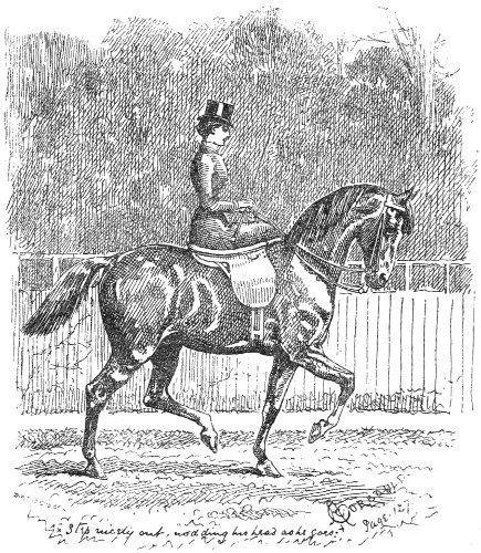 Lady on horseback