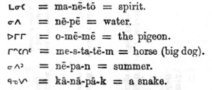 Examples of Word Formation