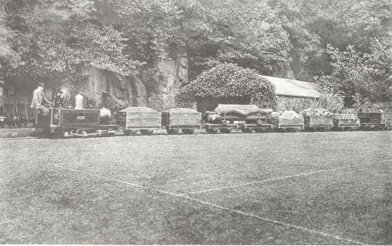 Engine No 2 and Goods Train, Duffield Bank Railway