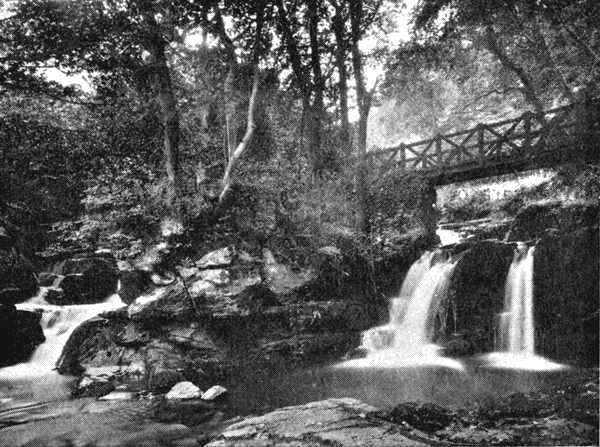 Glen Lyn, near Lynmouth