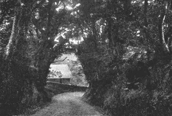 Upcott Lane, Bideford