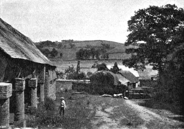 Old Ford Farm, Bideford