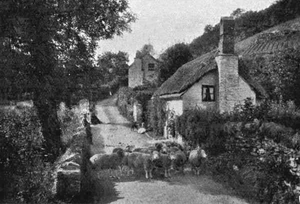 Cherry Bridge, near Lynmouth