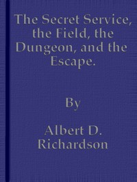 The Secret Service, the Field, the Dungeon, and the Escape