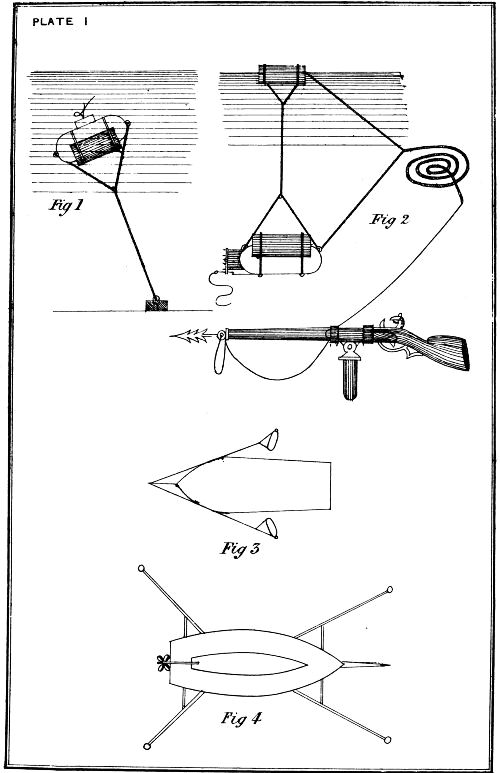 Plate I