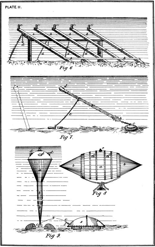 Plate II