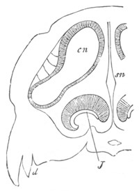 Illustration: Figure 312