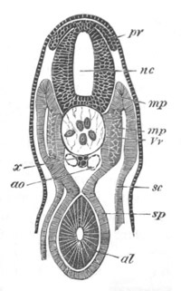 Illustration: Figure 413