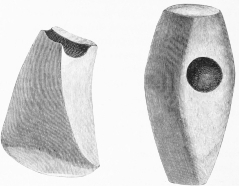 No. 56. No. 57. No. 58. No. 59. No. 60. No. 61. Stone Implements of the earliest Settlers (11 and 14 M.). Nos. 56 and 57. An Axe and Hammer of Diorite. Nos. 58, 59, 60. Knives of White Silex. No. 61. Probably an Arrow-head.