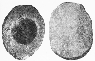 Nos. 102, 103. Hand Mill-stones of Lava from Lowest Stratum (14-16 M.).