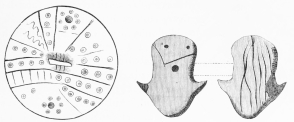 No. 164. Terra-cotta Pot-lid, engraved with symbolical marks (6 M.).