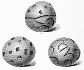 No. 300. Terra-cotta Ball (4 M.).  a. Side View. b. Upper Hemisphere. c. Lower Hemisphere, with the Inscription.