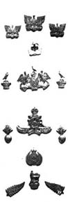 Badges of New Zealand Mounted Rifles