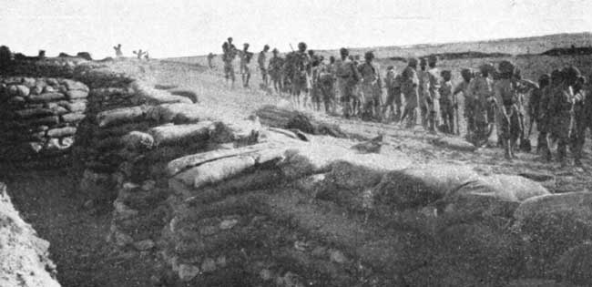 Trenches on the Canal Bank