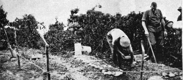 Renovating Graves on Turk's Point