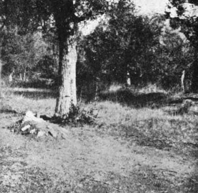 Major Overton's Grave