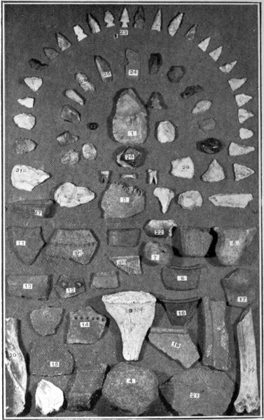 Plate No. 2 Characteristic surface finds from location shown on plate 1.