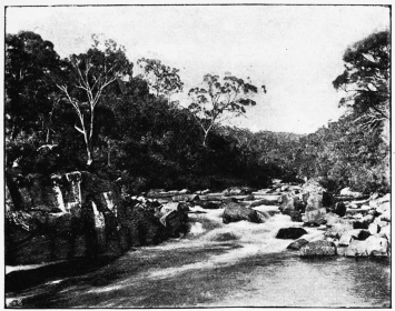 ON THE ESK RIVER, TASMANIA  (From a photograph by Major Aikenhead, Launceston)