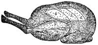 Fig. 89.