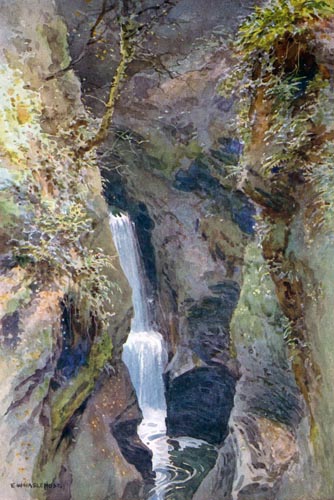 Lydford Gorge