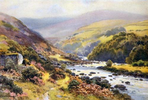 Dartmeet