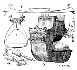 South American stirrups