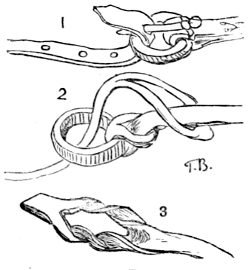 attaching strips of hide