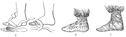 making a snow boot