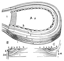 finishing the heel