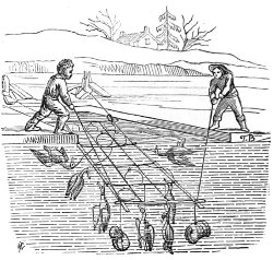 duck traps