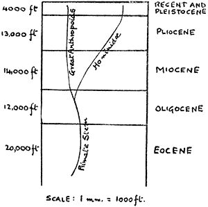 Development of Man