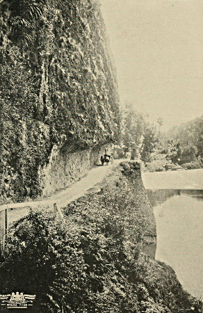 Stage Road, Buller Gorge