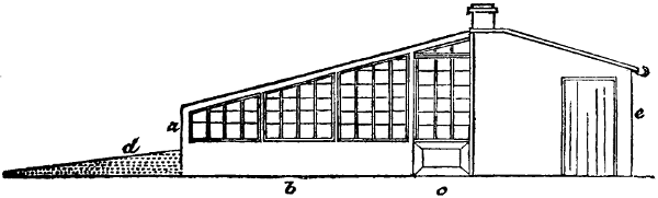 Kensington gardens greenhouse