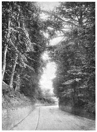 The London Road near Sunninghill