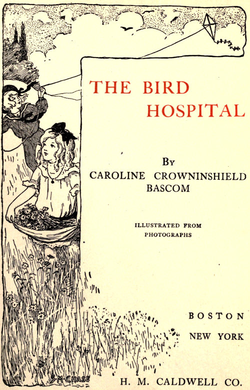 The Bird Hospital
