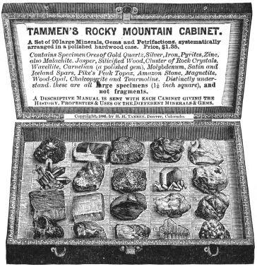 TAMMEN’S ROCKY MOUNTAIN CABINET. A set of 20 large Minerals, Gems and Petrifactions, systematically arranged in a polished hardwood case