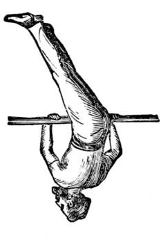 horizontal bar