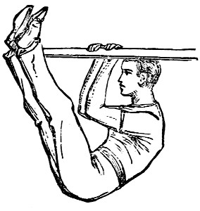 horizontal bar