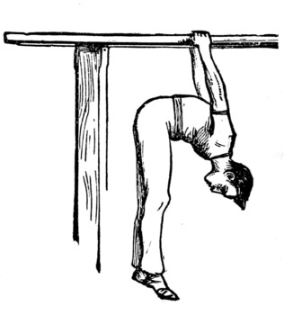 parallel bars